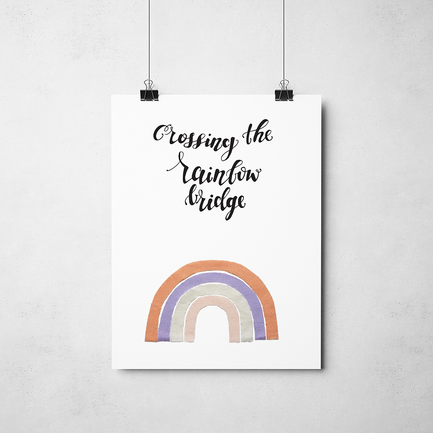 Poster regenboog